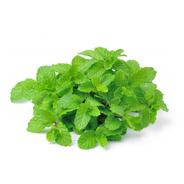 Essential Oil – Peppermint - The Skin Pharmacy