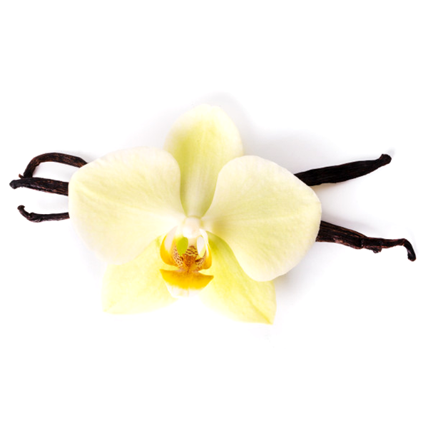 Vanilla Oleoresin Organic